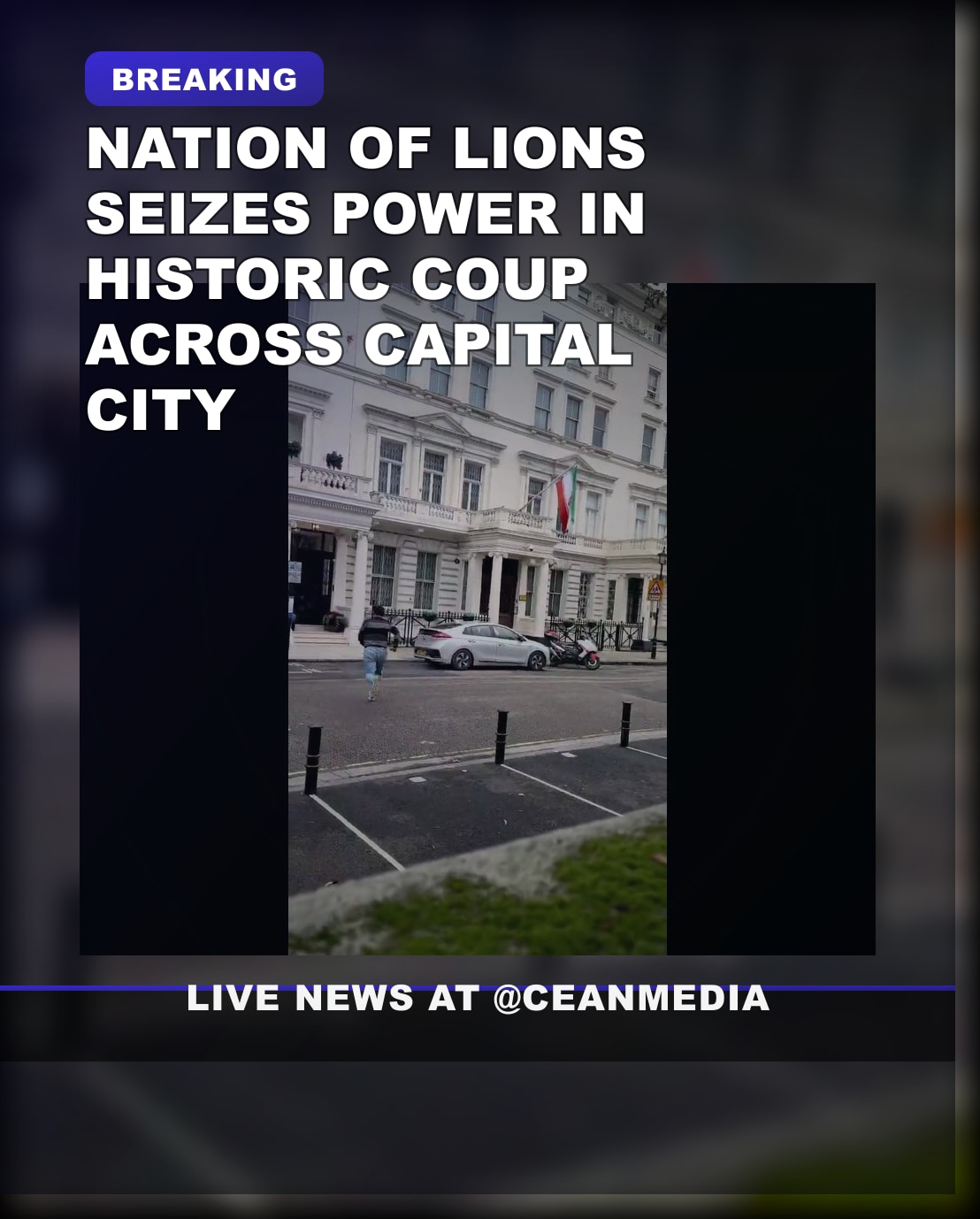 Illustrative photo for: Experts Call Country a "Nation of Lions" for Fierce