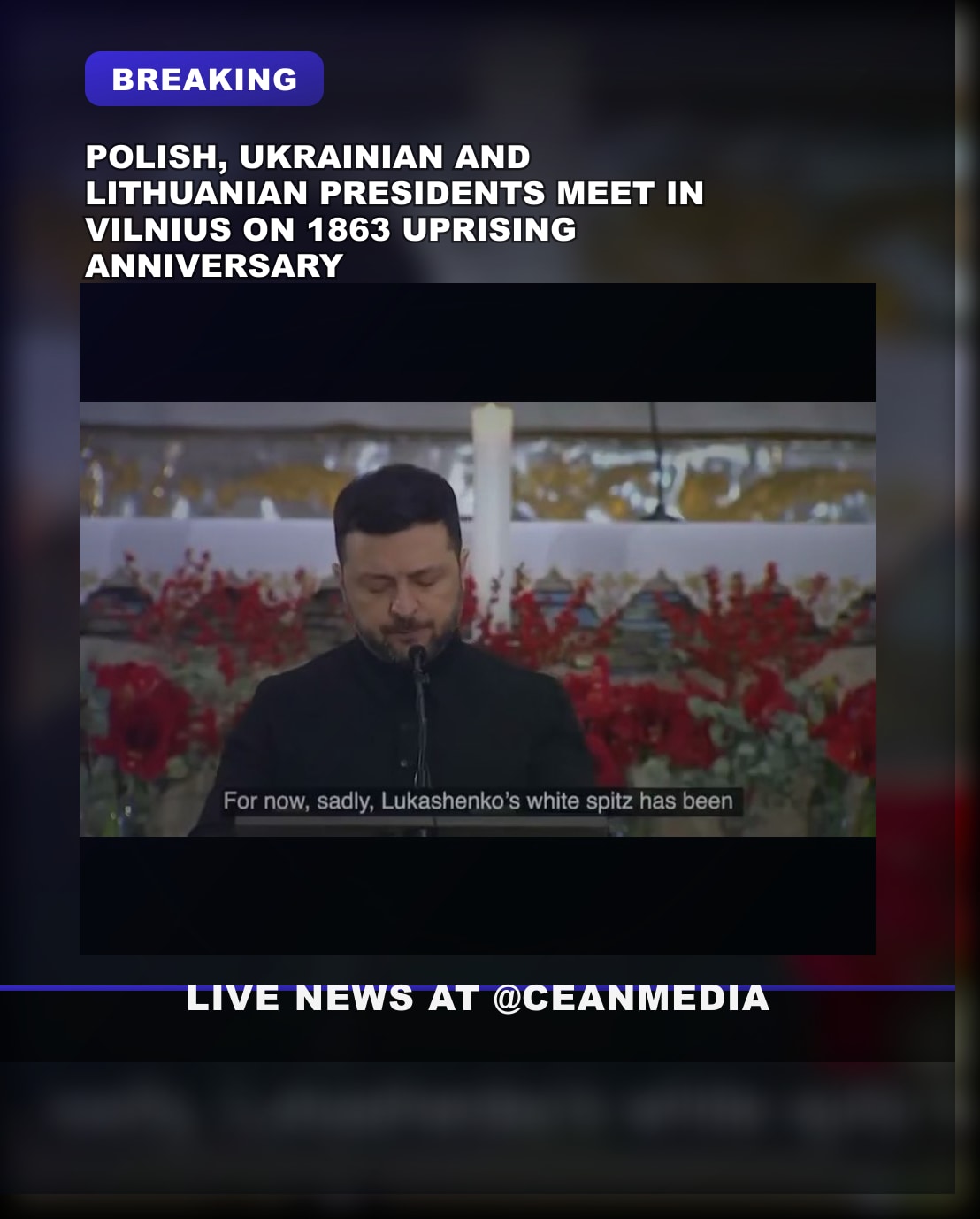 Illustrative photo for: Polish Ukraine Lithuania summit: Leaders honor 1863