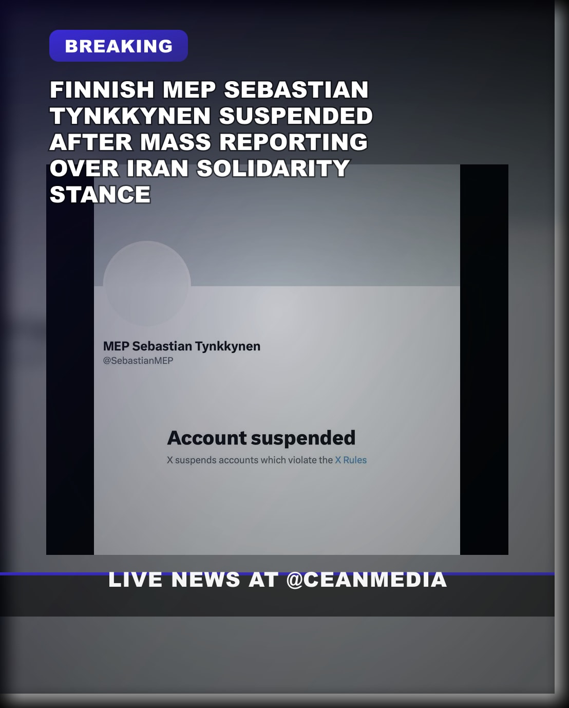 Illustrative photo for: Finnish MEP Account Suspension After Support for Iranian