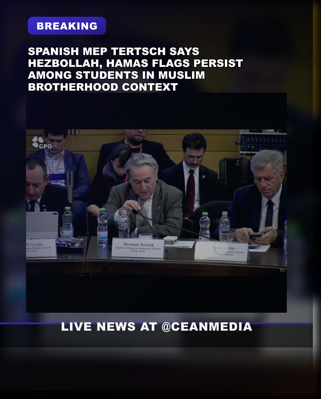 Illustrative photo for: Spanish MEP Hermann Tertsch Criticizes Hezbollah Hamas