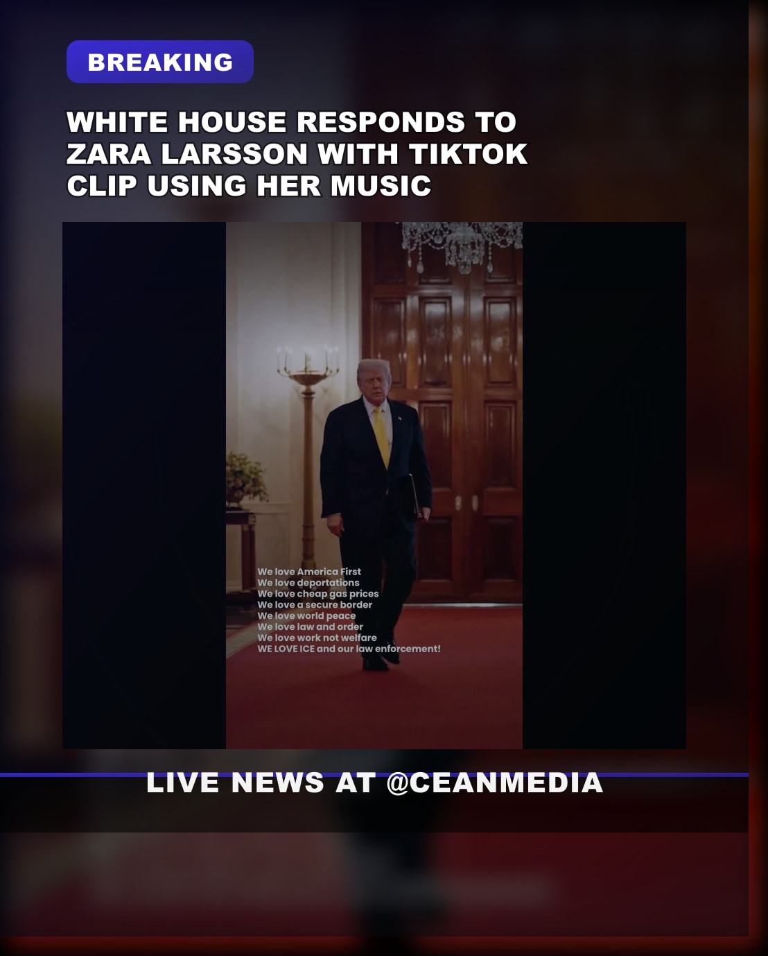 Illustrative photo for: White House Uses Zara Larsson's Music in TikTok Response