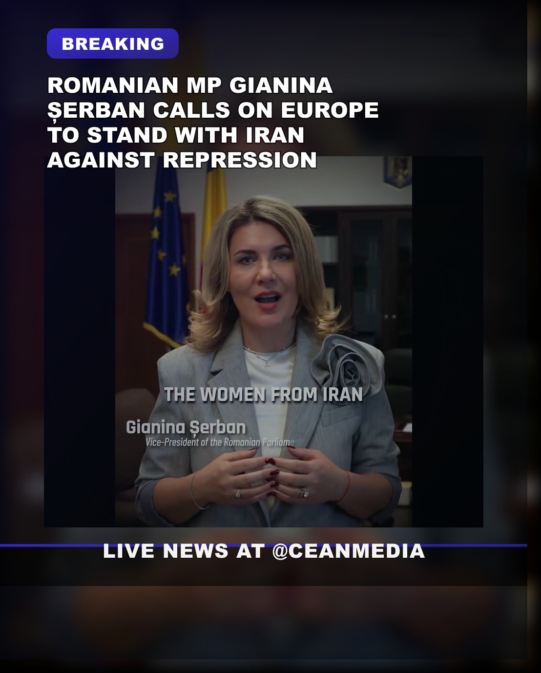 Illustrative photo for: Romanian MP Gianina Șerban Urges Authorities to Support