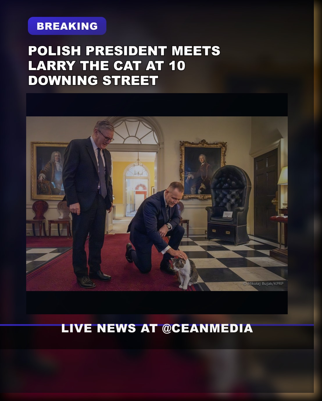 Illustrative photo for: Polish President Visits 10 Downing Street and Meets Larry