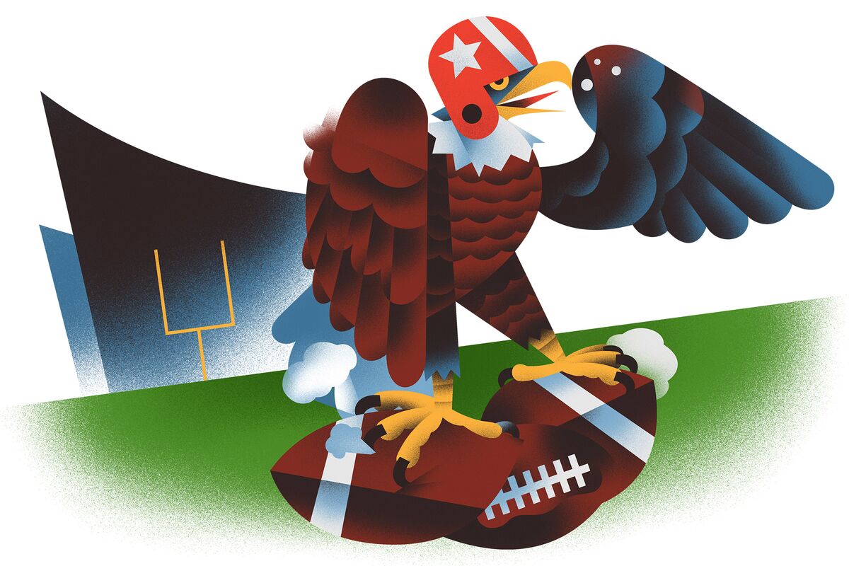 Illustrative photo for: New Book Says doom of american football on the Eve of Super
