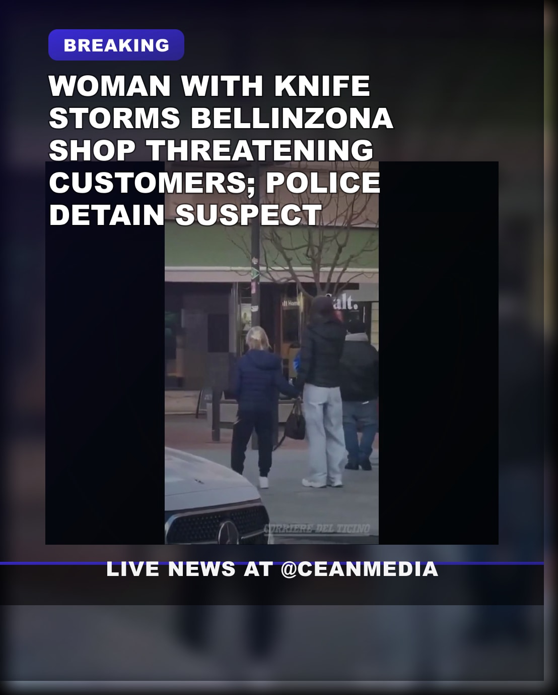 Illustrative photo for: Woman Knife Threatening Police in Bellinzona Shouts "Allahu