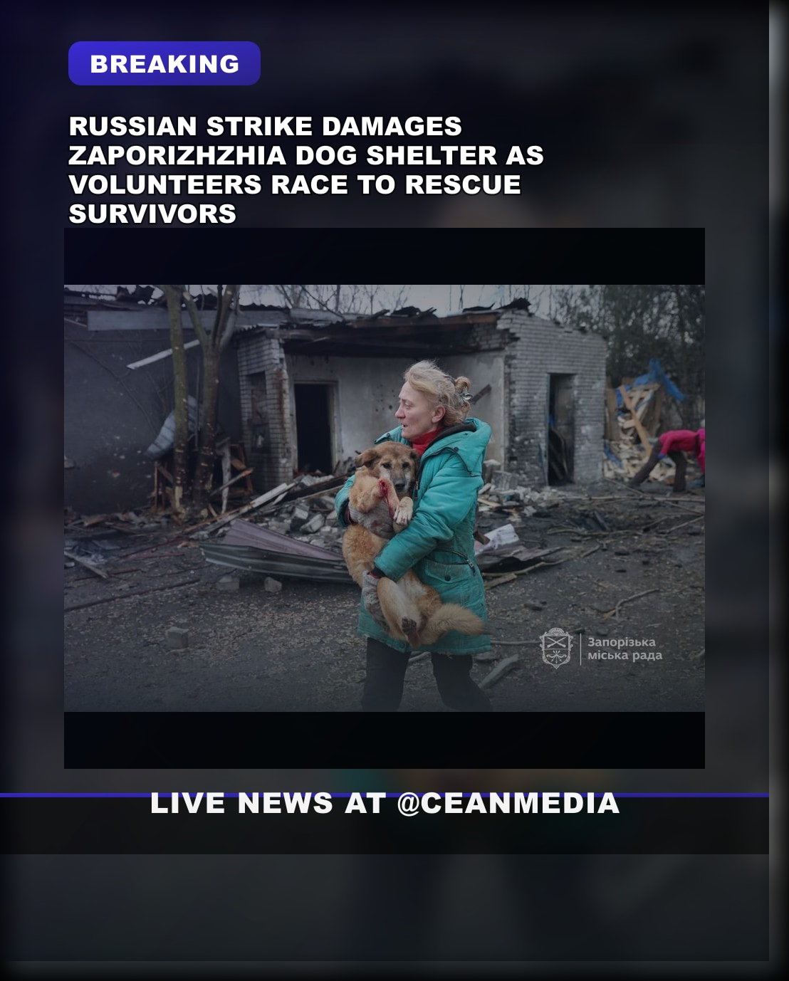 Illustrative photo for: Dog shelter damaged Zaporizhzhia strike: rescue efforts