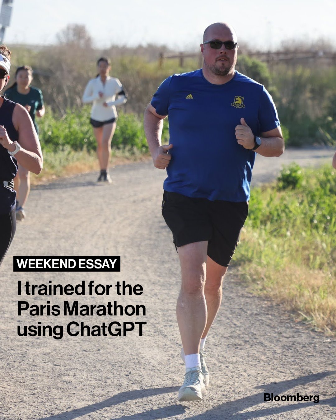 Illustrative photo for: AI training diet discipline trial: lessons from a marathon