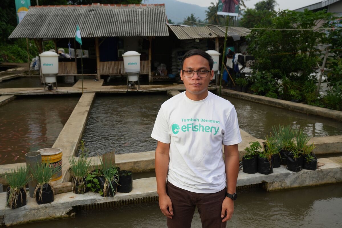 Illustrative photo for: Indonesian Court Sentences eFishery founder prison sentence