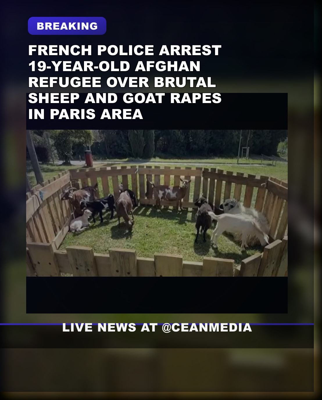 Illustrative photo for: French police arrest 19-year-old Afghan refugee over rape