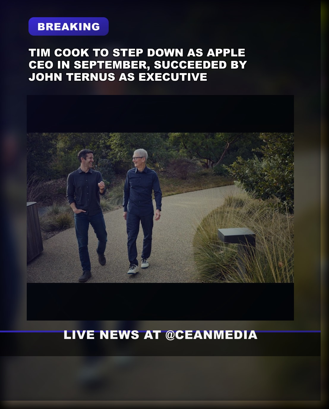 Illustrative photo for: Apple leadership transition 2024: Tim Cook steps down as
