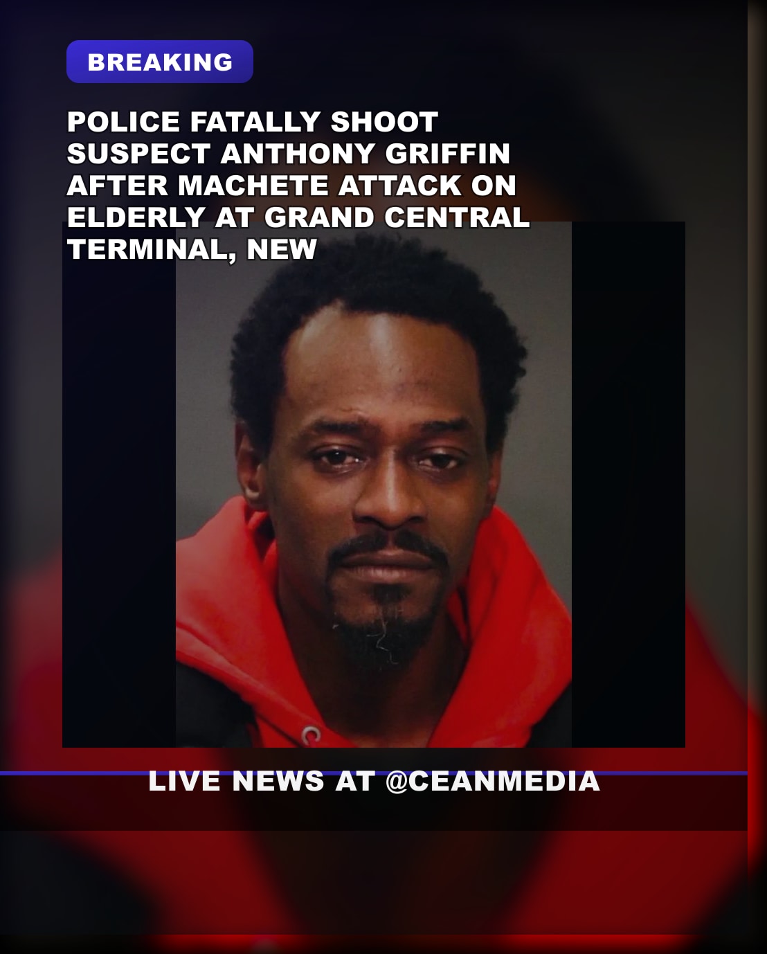 Illustrative photo for: Grand Central machete attack motivation: suspect details