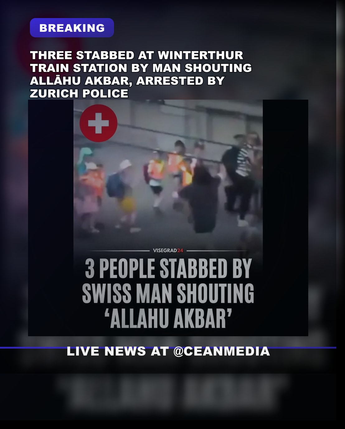 Illustrative photo for: Winterthur train station stabbing motivation under
