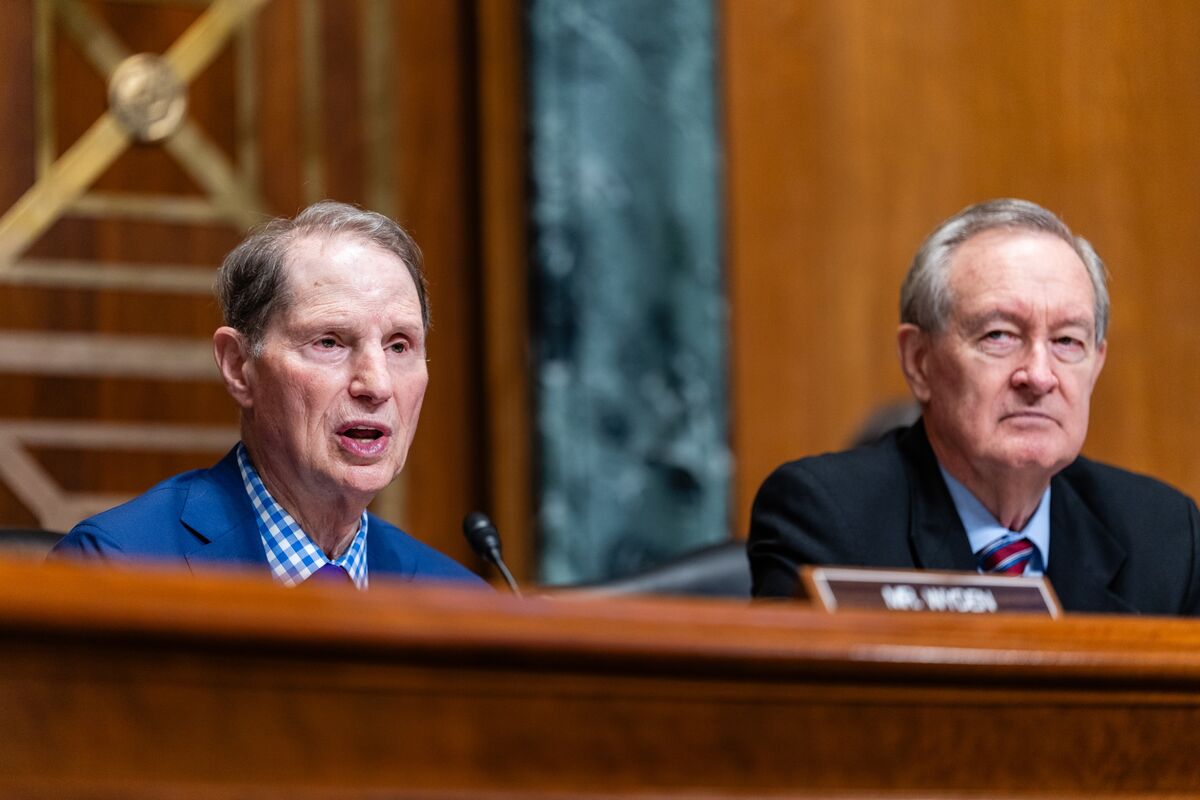Illustrative photo for: Senate Dems Urge Bipartisan Probe Government Weaponization