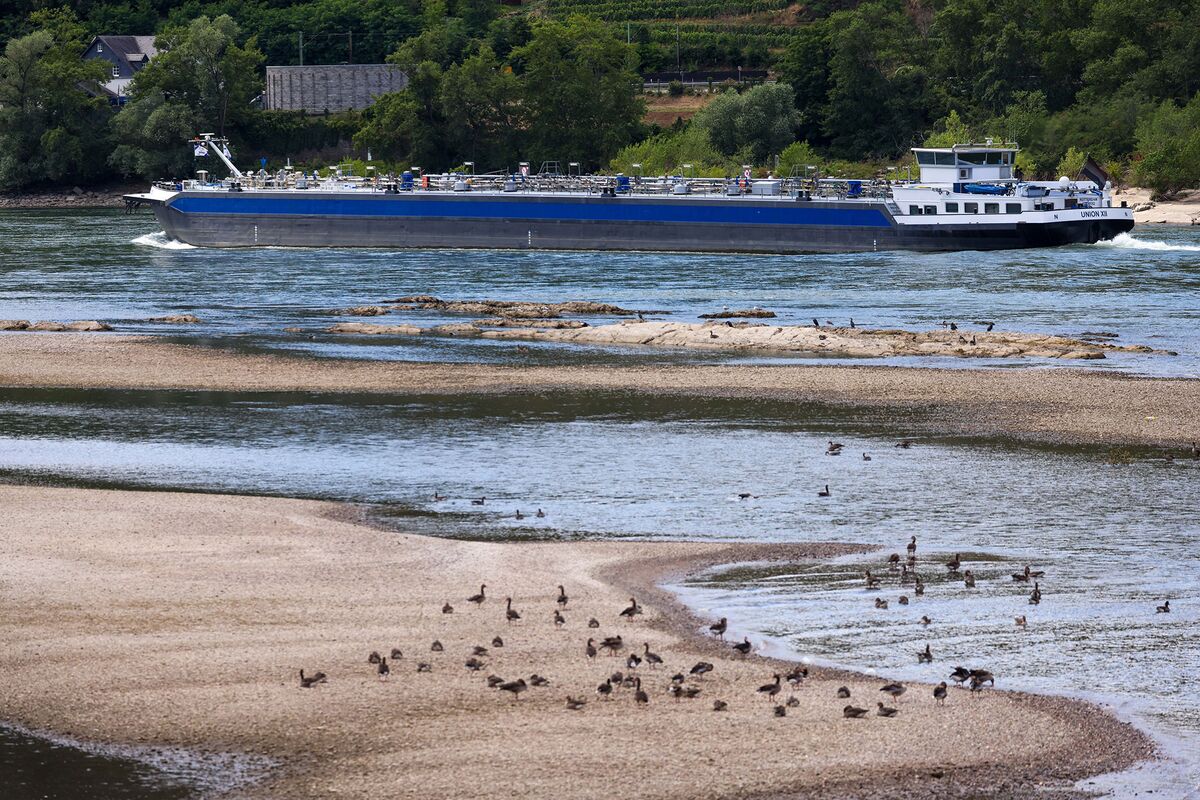 Illustrative photo for: Rising Bottlenecks: Low Water on Europe’s Key River Curbing