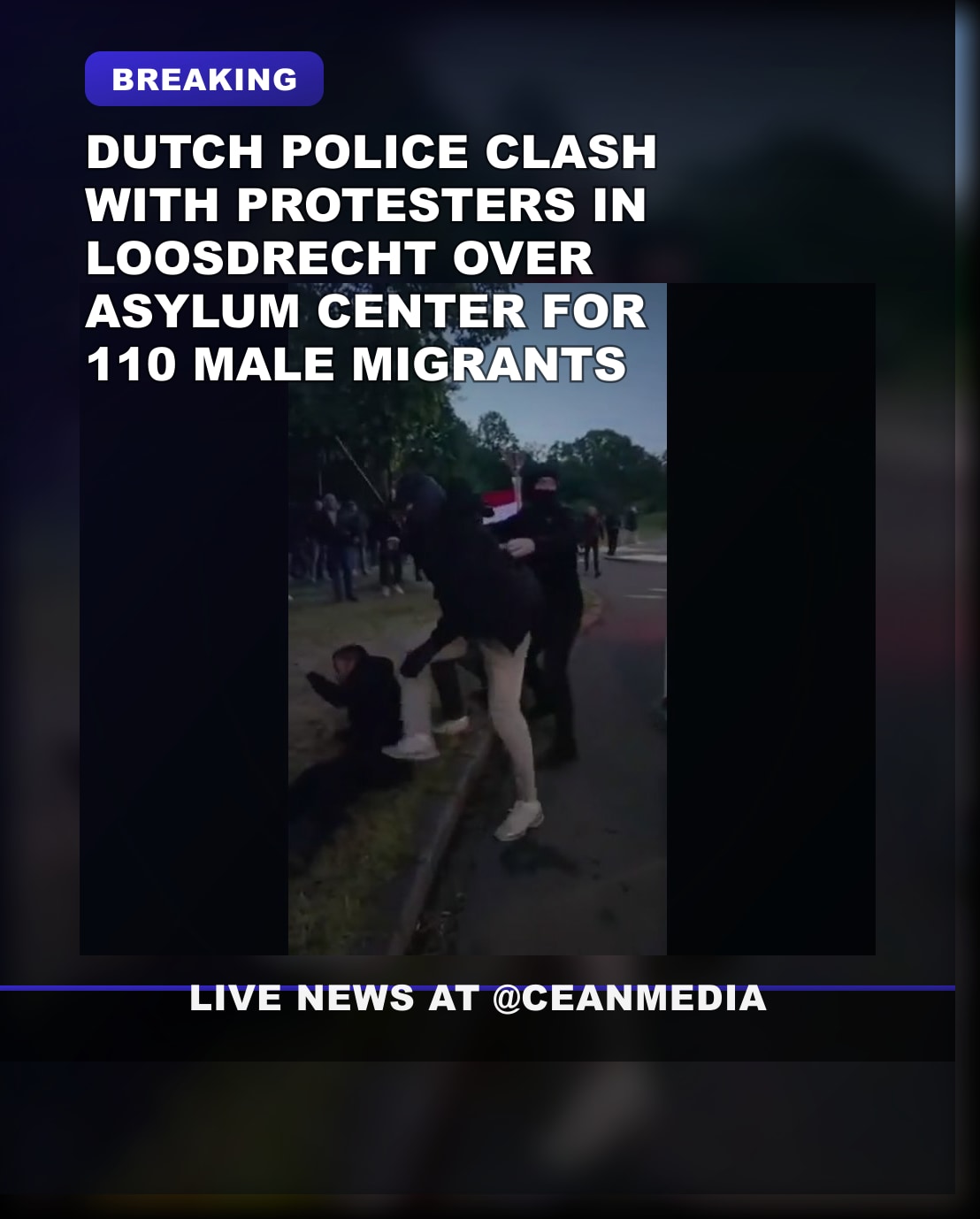 Illustrative photo for: Dutch Police Use Batons on Demonstrators in Loosdrecht