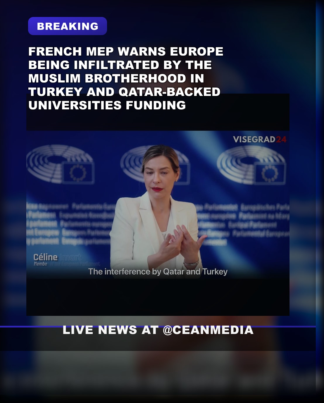 Illustrative photo for: EU Muslim Brotherhood influence warned by parliamentarian