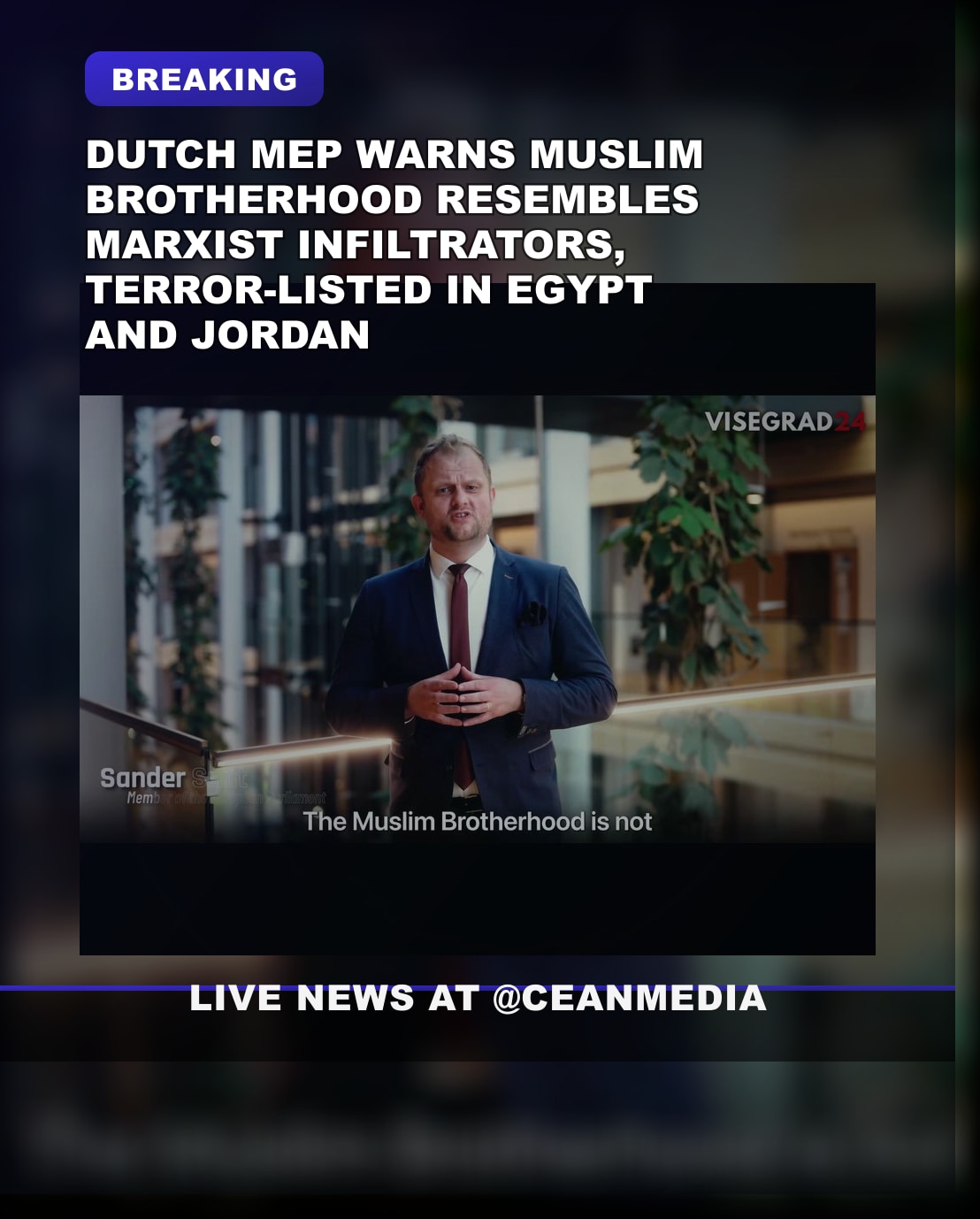 Illustrative photo for: Dutch MEP compares Muslim Brotherhood to 20th-century
