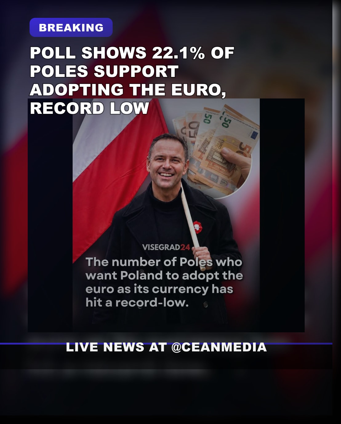 Illustrative photo for: Poland euro adoption support poland at record low poll