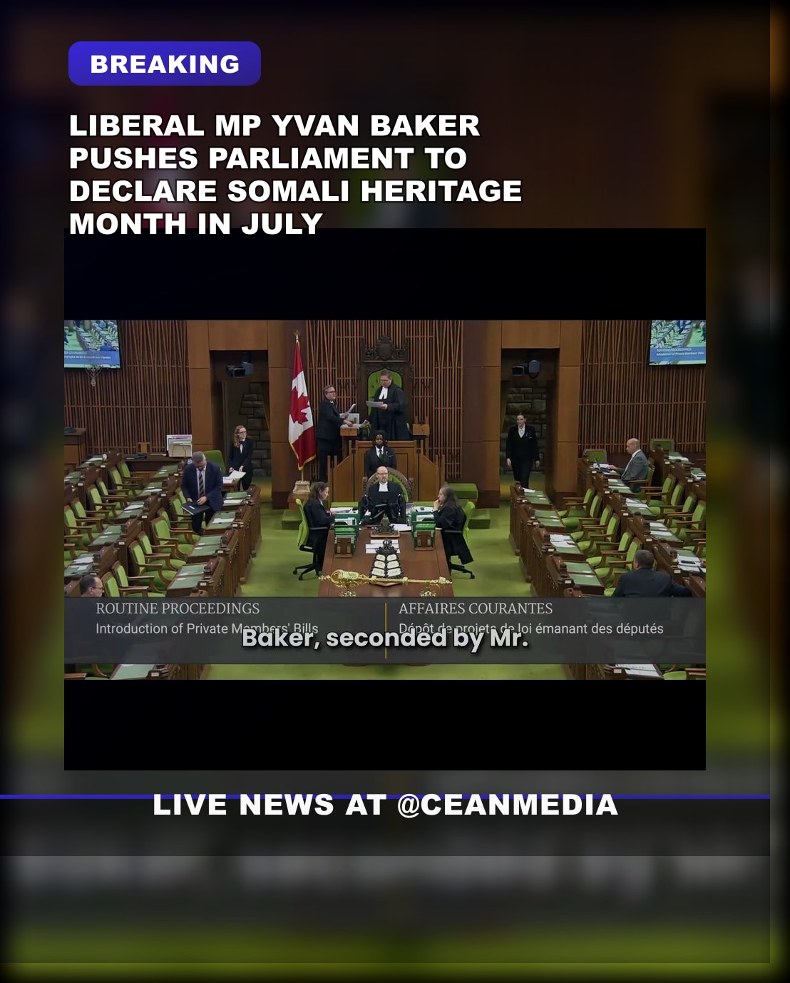 Illustrative photo for: Liberal MP Seeks July as Somali Heritage Month, Overlooking