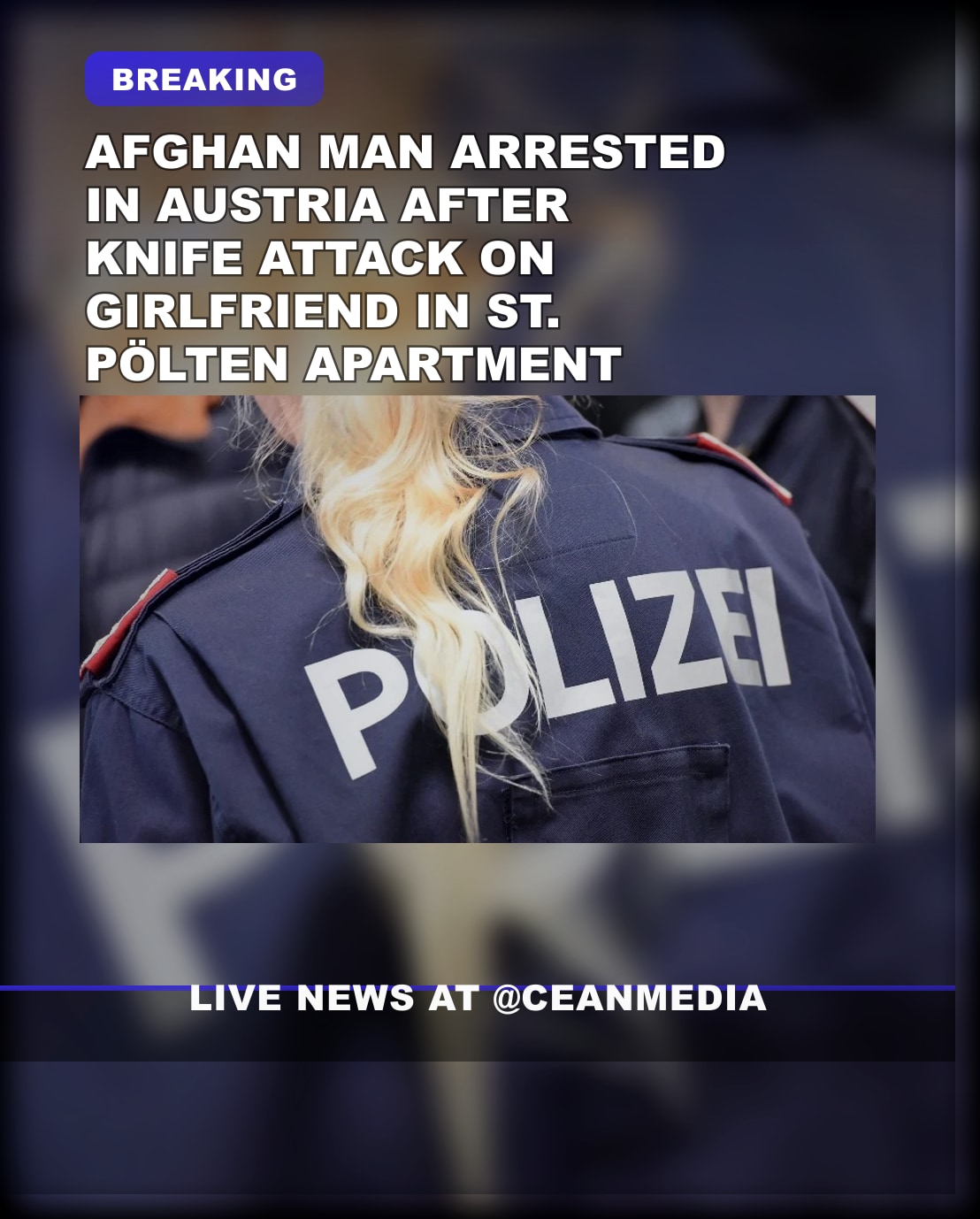 Illustrative photo for: Afghan Man Arrested in Austria for Violent Domestic Assault
