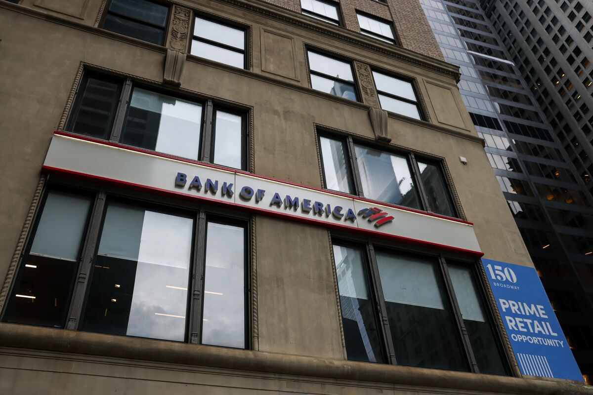 Illustrative photo for: Bank of America backs momentum stocks buy recommendation