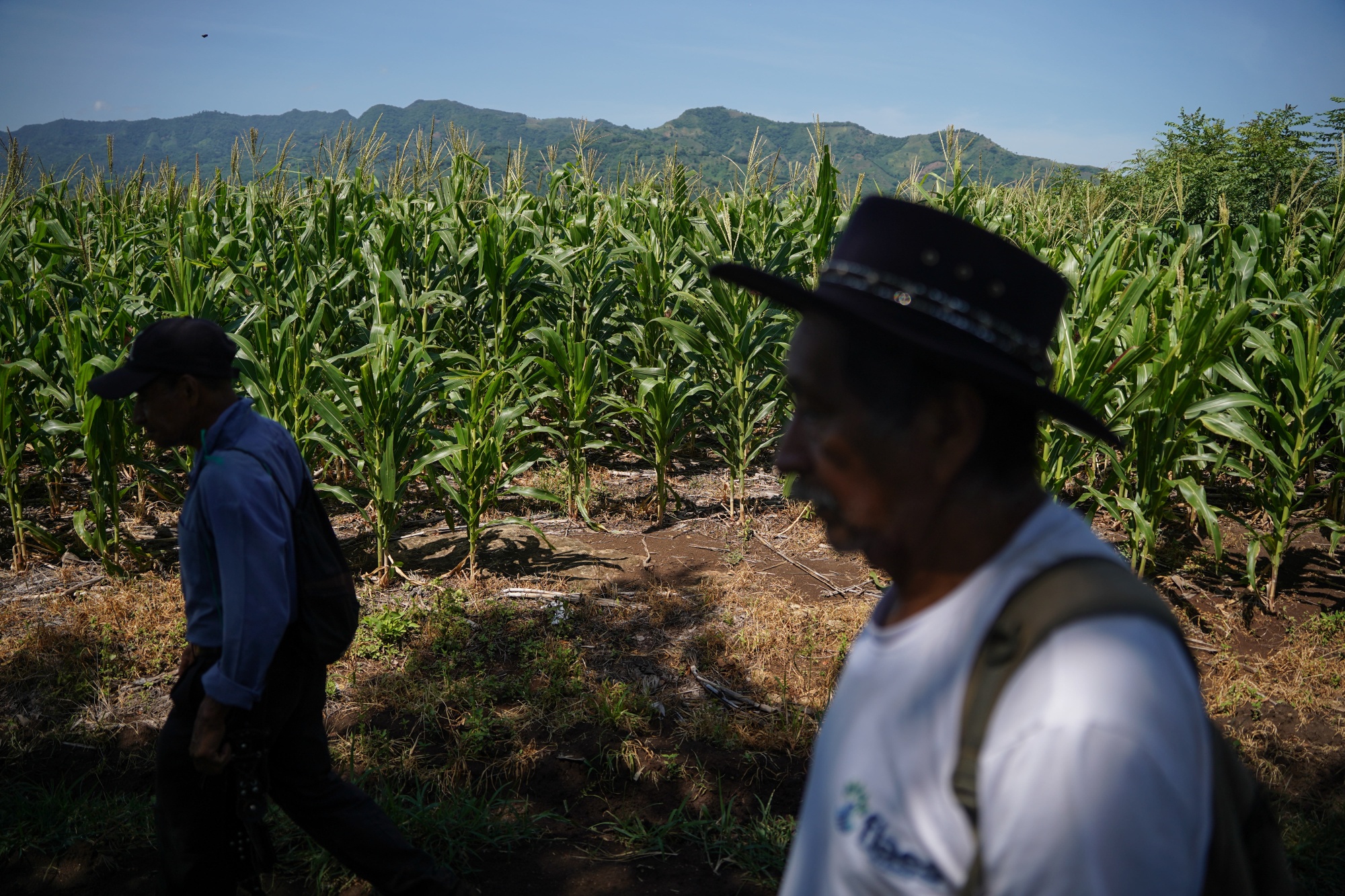 Illustrative photo for: El Niño economic risks: Global outlook tightens for