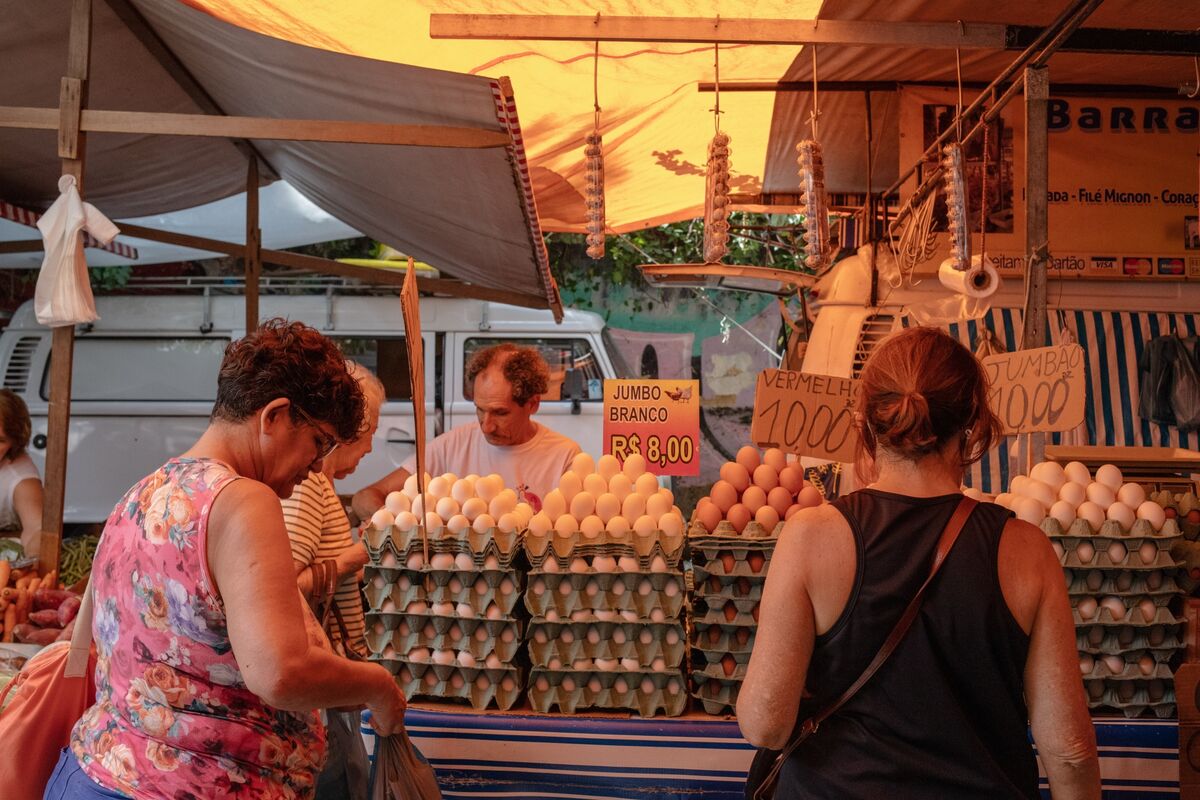 Illustrative photo for: EU Brazil poultry audit potential impact: audit to avert